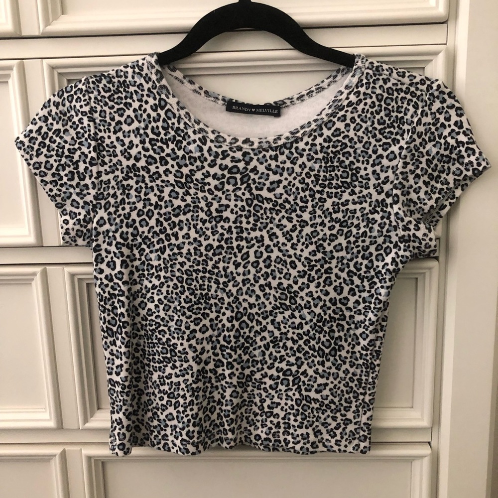Brandy Melville Leopard crop top